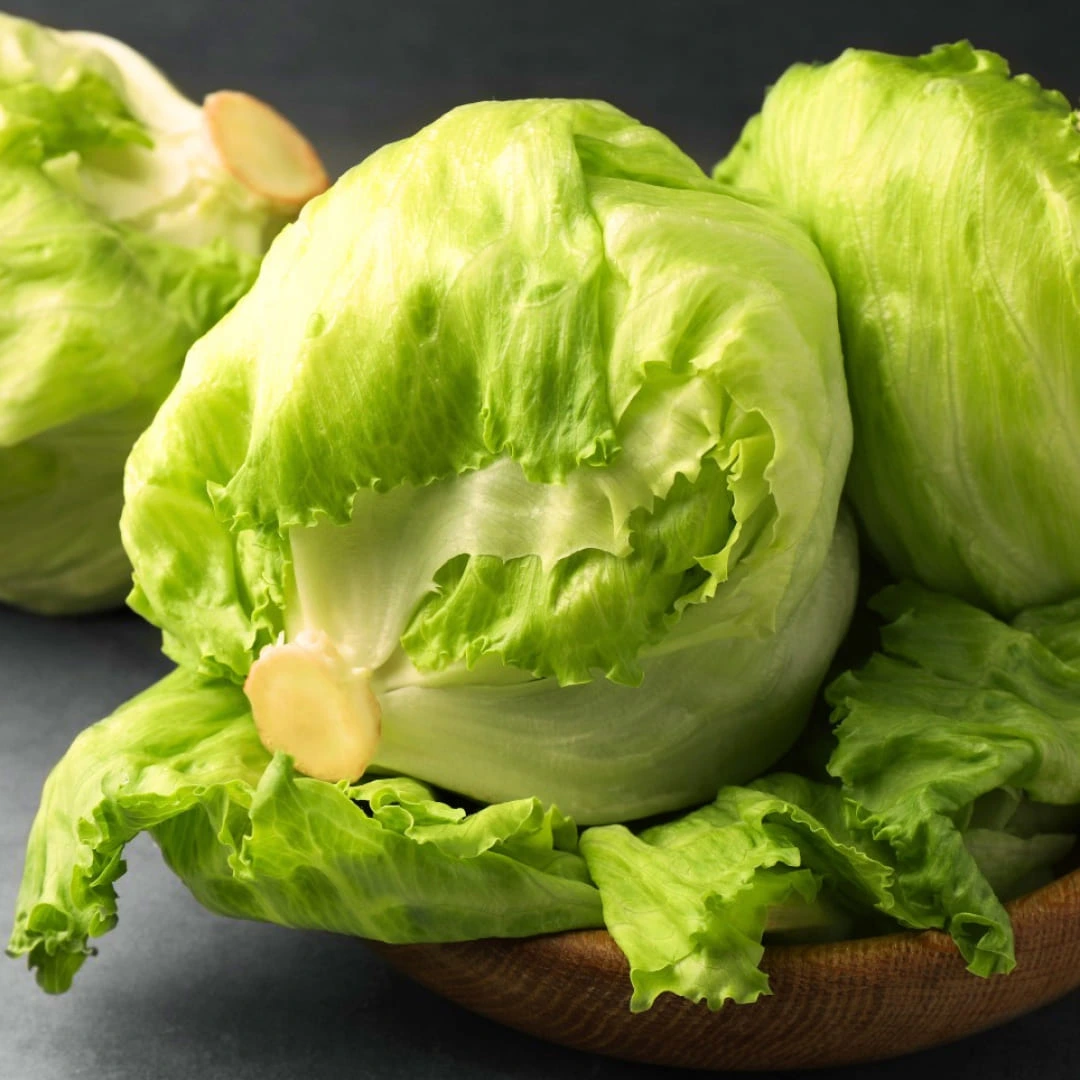 Lechuga